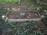 image of grave number 820711